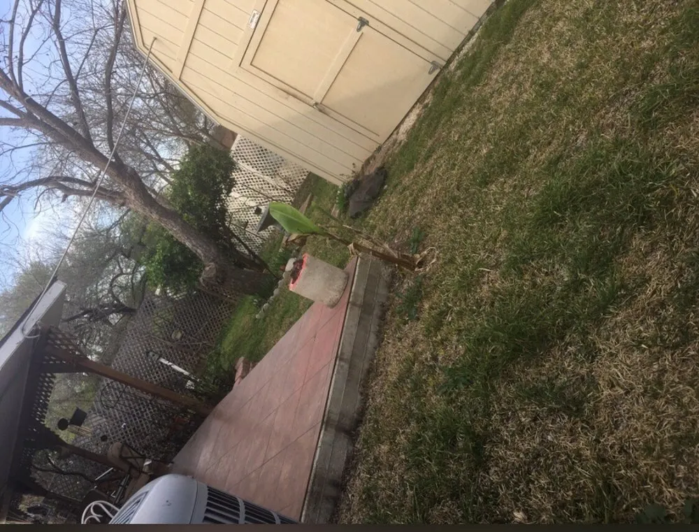 Local lawn mowing service experts serving San Antonio, TX - Texas Tradition Landscaping