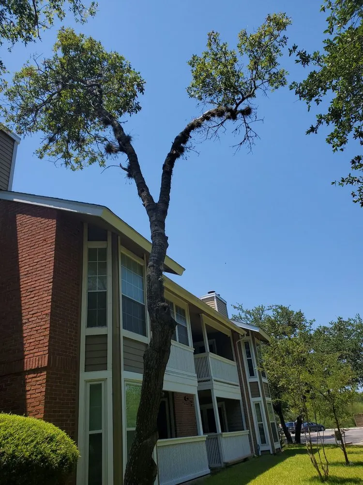 Reliable outdoor landscaping in San Antonio, TX - Texas Tradition Landscaping