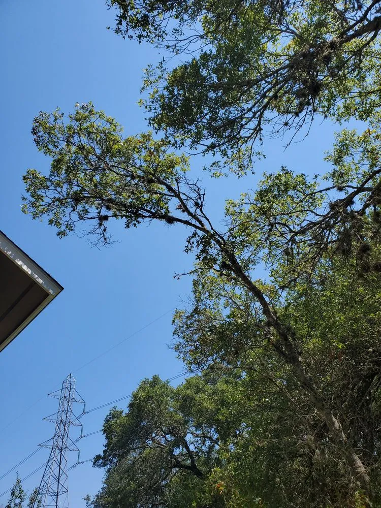 Expert residential landscaping in San Antonio, TX - Texas Tradition Landscaping