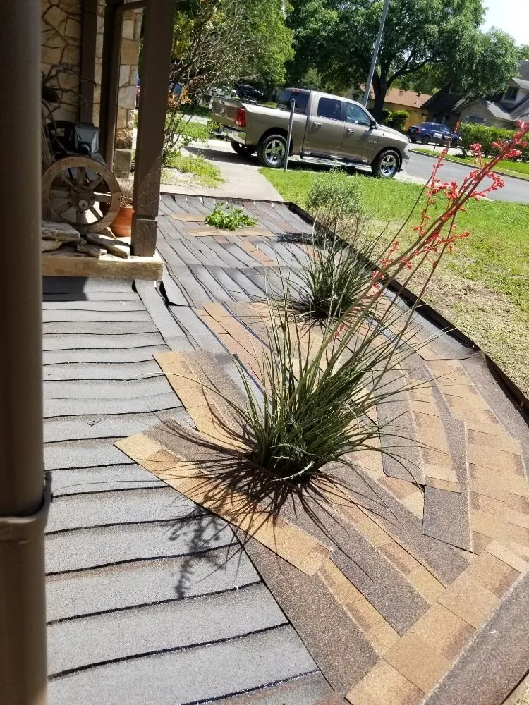 Top-rated landscaping services with custom design across San Antonio, TX - Texas Tradition Landscaping