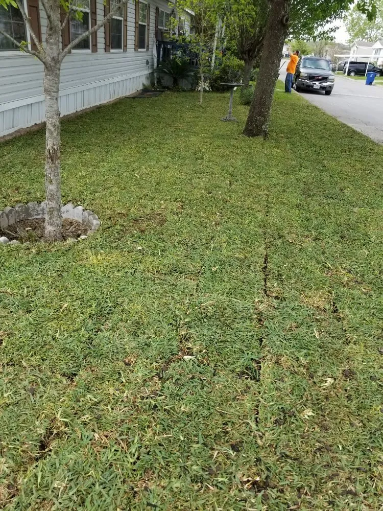 Expert garden landscaping for year-round maintenance across San Antonio, TX - Texas Tradition Landscaping