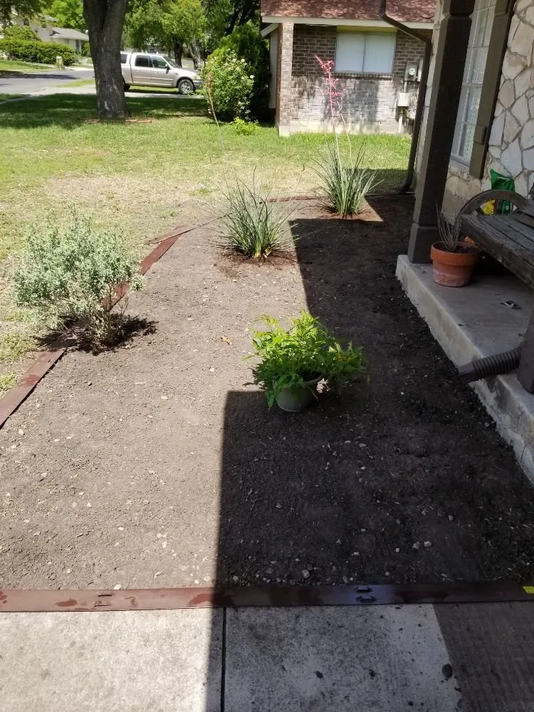 Trusted yard cleanup service experts serving San Antonio, TX - Texas Tradition Landscaping