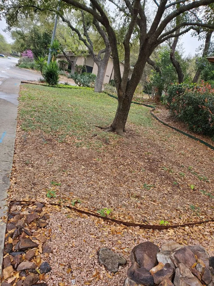Expert landscape installation in San Antonio, TX by Texas Tradition Landscaping