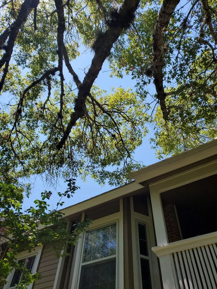 Reliable lawn mowing service in San Antonio, TX - Texas Tradition Landscaping