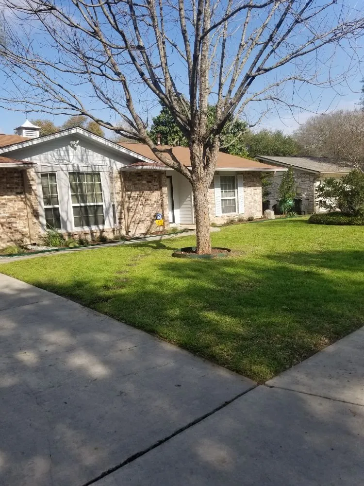 Affordable landscape installation experts serving San Antonio, TX - Texas Tradition Landscaping