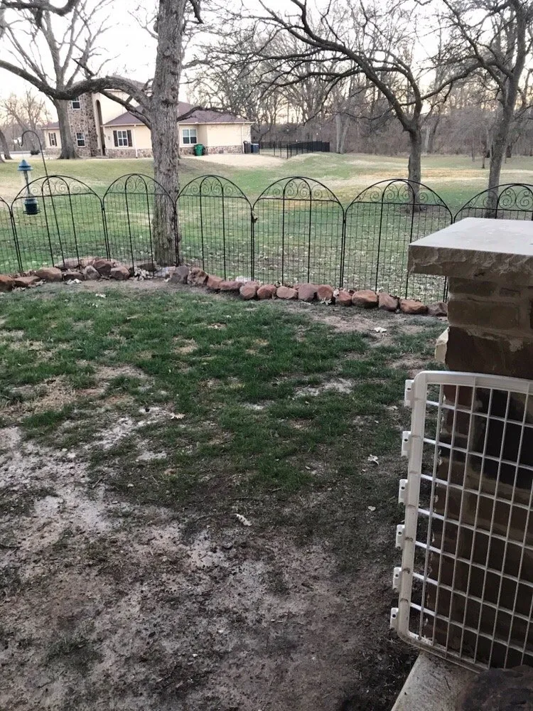 Affordable lawn mowing service in Prosper, TX - Texas Tree & Landscape