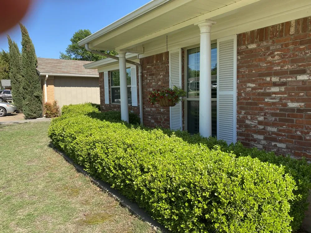Local landscape installation for year-round maintenance in Wichita Falls, TX by Texas Tree & Landscape