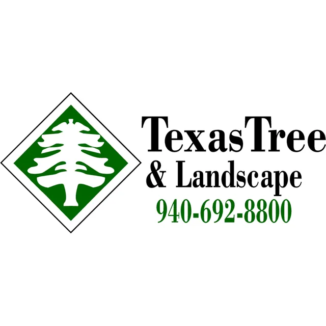 Local yard maintenance in Wichita Falls, TX by Texas Tree & Landscape