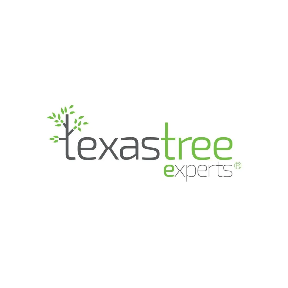 Local lawn mowing service experts serving Houston, TX - Texas Tree Expert