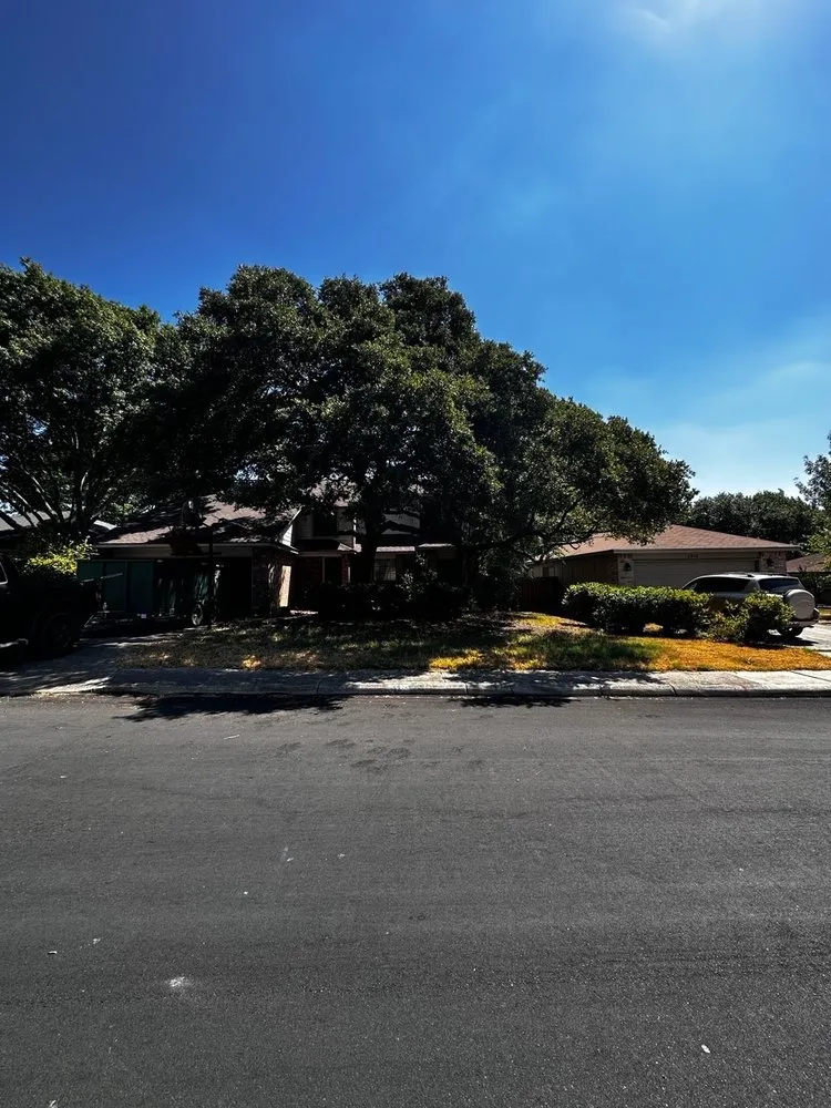 Local outdoor landscaping in San Antonio, TX - Texas Tree Huggers