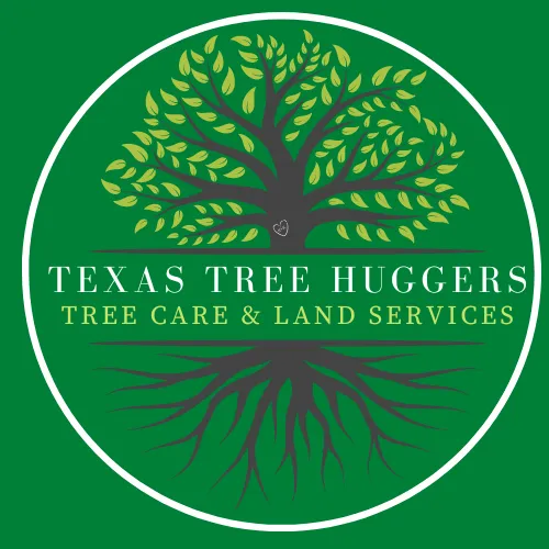 Professional garden landscaping for beautiful yards in San Antonio, TX by Texas Tree Huggers