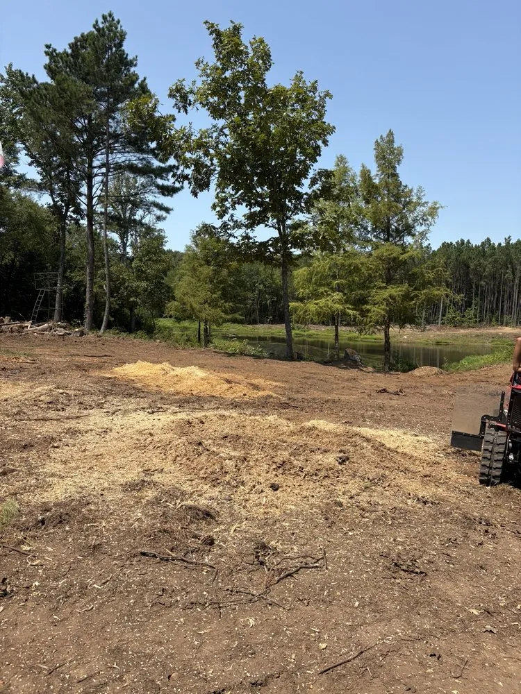 Affordable yard cleanup service near you across Forney, TX - Texas Tree Service