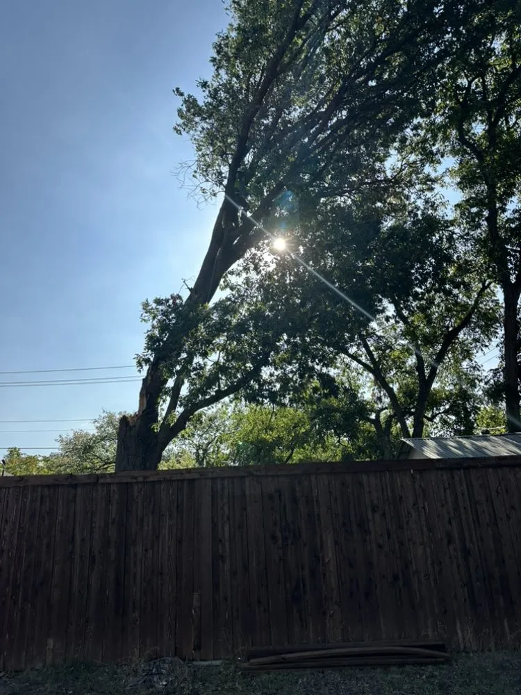 Affordable landscaping services in Forney, TX by Texas Tree Service