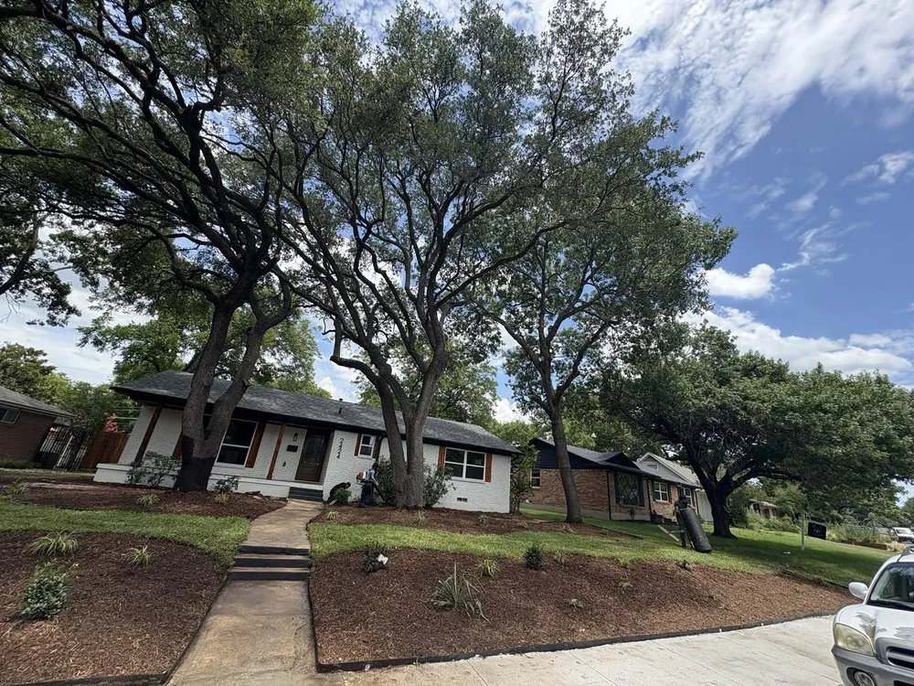 Professional outdoor landscaping for beautiful yards across Forney, TX - Texas Tree Service