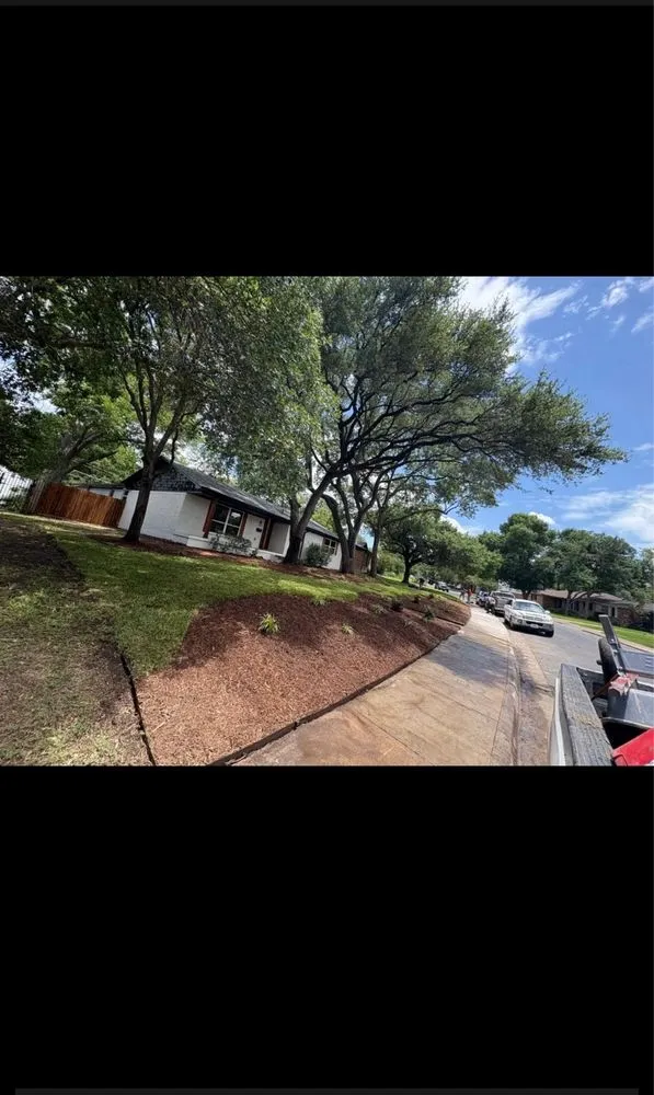 Expert lawn mowing service in Forney, TX - Texas Tree Service