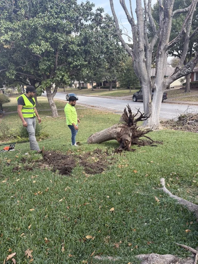 Local garden landscaping for residential properties across Forney, TX - Texas Tree Service