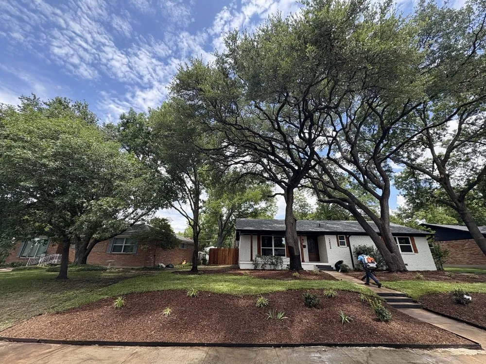 Trusted landscape design for beautiful yards in Forney, TX by Texas Tree Service