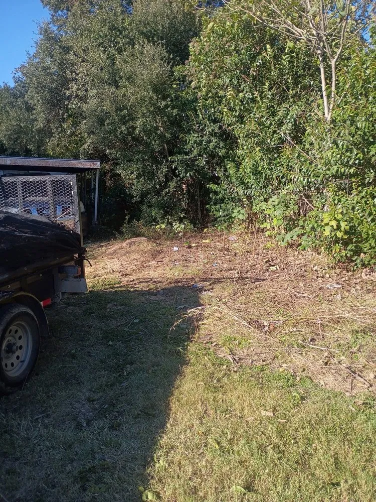 Reliable yard cleanup service for beautiful yards across Forney, TX - Texas Tree Service