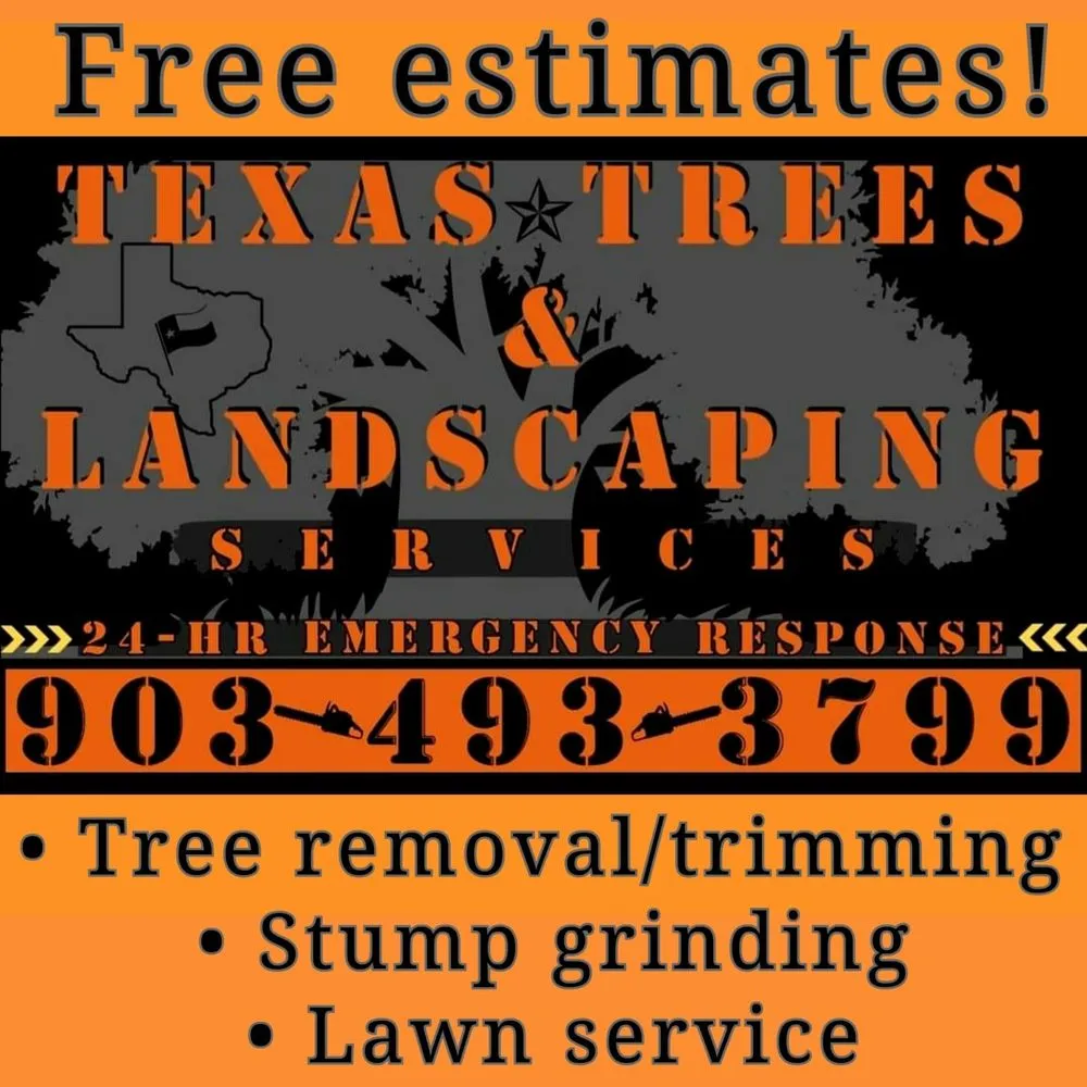 Professional lawn care service for year-round maintenance across Corsicana, TX - Texas trees & landscaping