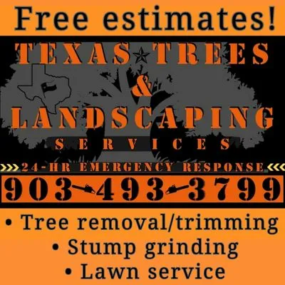 Texas trees & landscaping