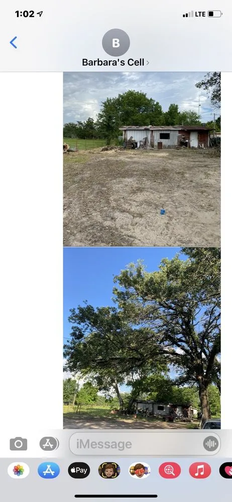 Professional garden landscaping for beautiful yards in Wills Point, TX by Texas Treescaping