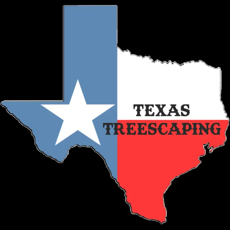 Local landscape design experts serving Wills Point, TX - Texas Treescaping