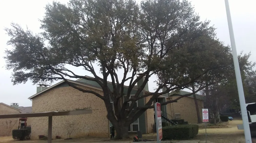 Custom garden landscaping for outdoor upgrades in Wills Point, TX by Texas Treescaping