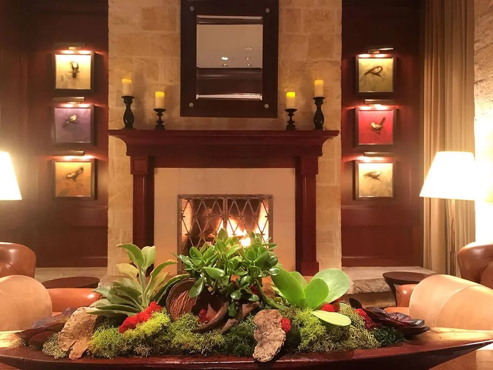 Custom residential landscaping experts serving Houston, TX - Texas Tropical Plants