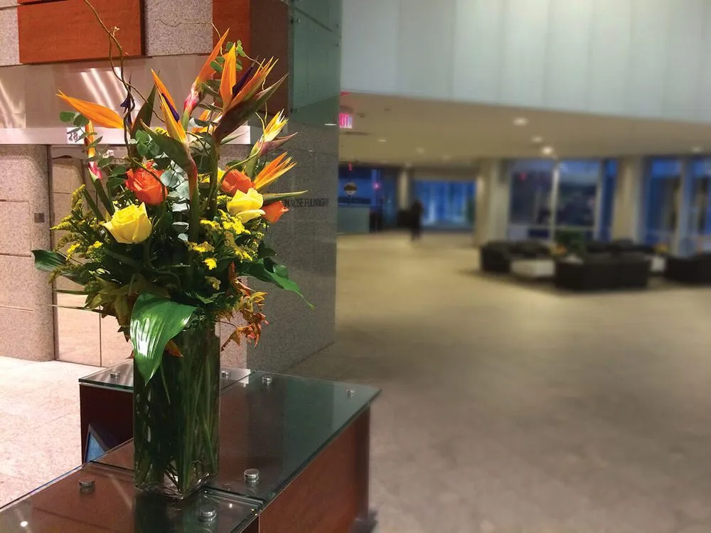 Affordable landscape design experts serving Houston, TX - Texas Tropical Plants