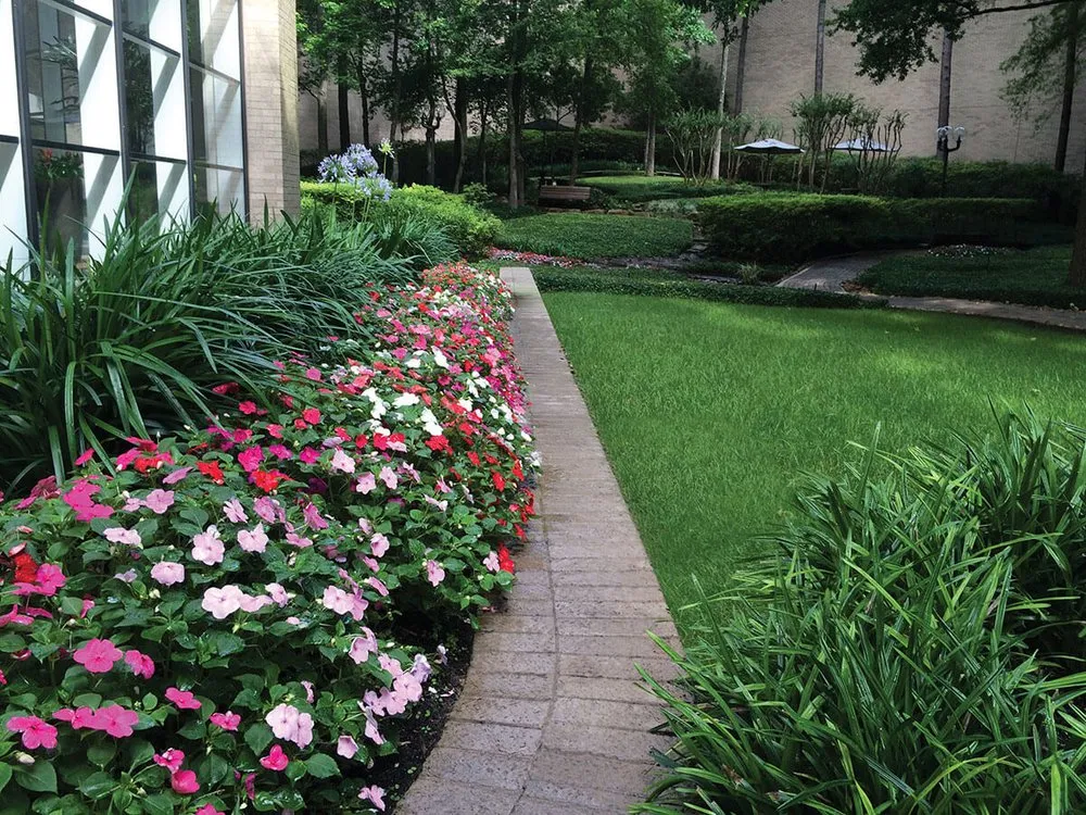 Reliable garden landscaping in Houston, TX by Texas Tropical Plants