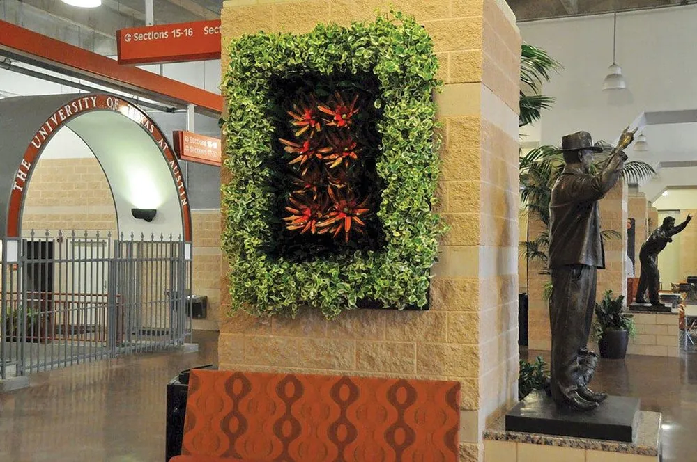 Affordable landscape design in Houston, TX - Texas Tropical Plants