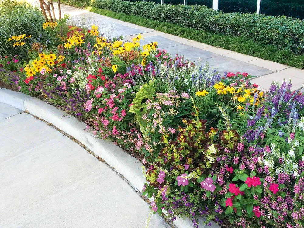 Custom landscape installation in Houston, TX by Texas Tropical Plants