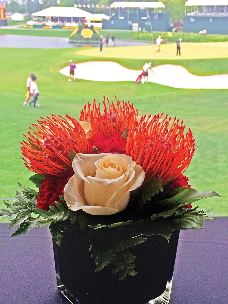 Top-rated lawn mowing service for residential properties in Houston, TX by Texas Tropical Plants