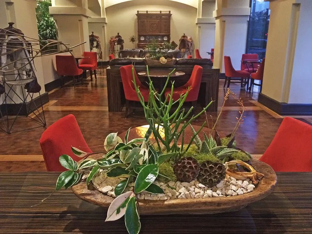 Affordable lawn mowing service for beautiful yards in Houston, TX by Texas Tropical Plants