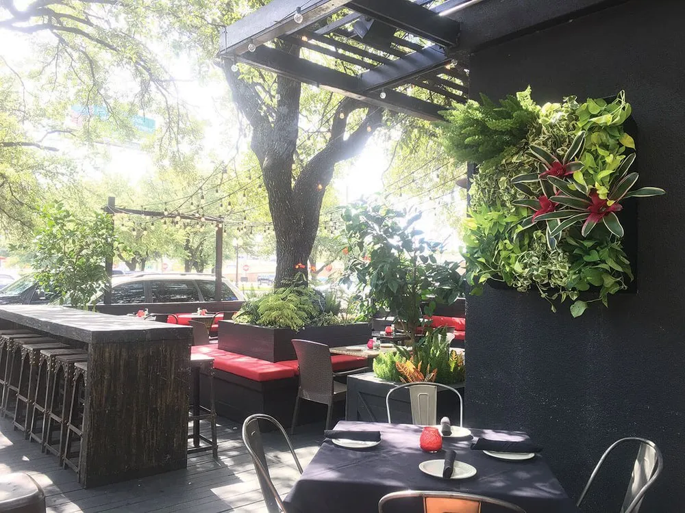 Reliable landscaping services in Houston, TX by Texas Tropical Plants