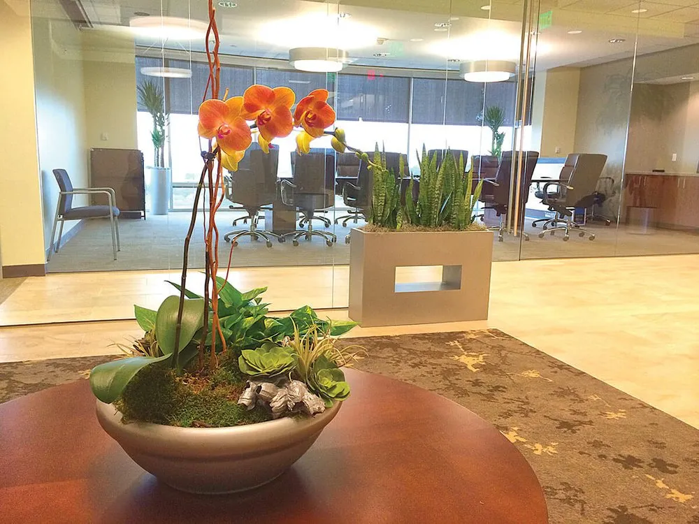 Top-rated landscape installation in Houston, TX by Texas Tropical Plants