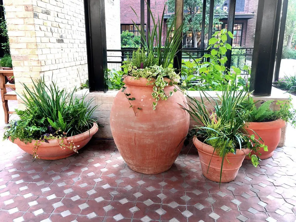 Custom lawn mowing service for outdoor upgrades in Houston, TX by Texas Tropical Plants