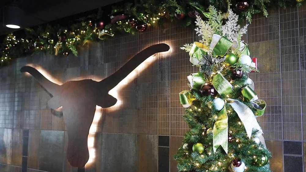 Reliable outdoor landscaping in Houston, TX by Texas Tropical Plants