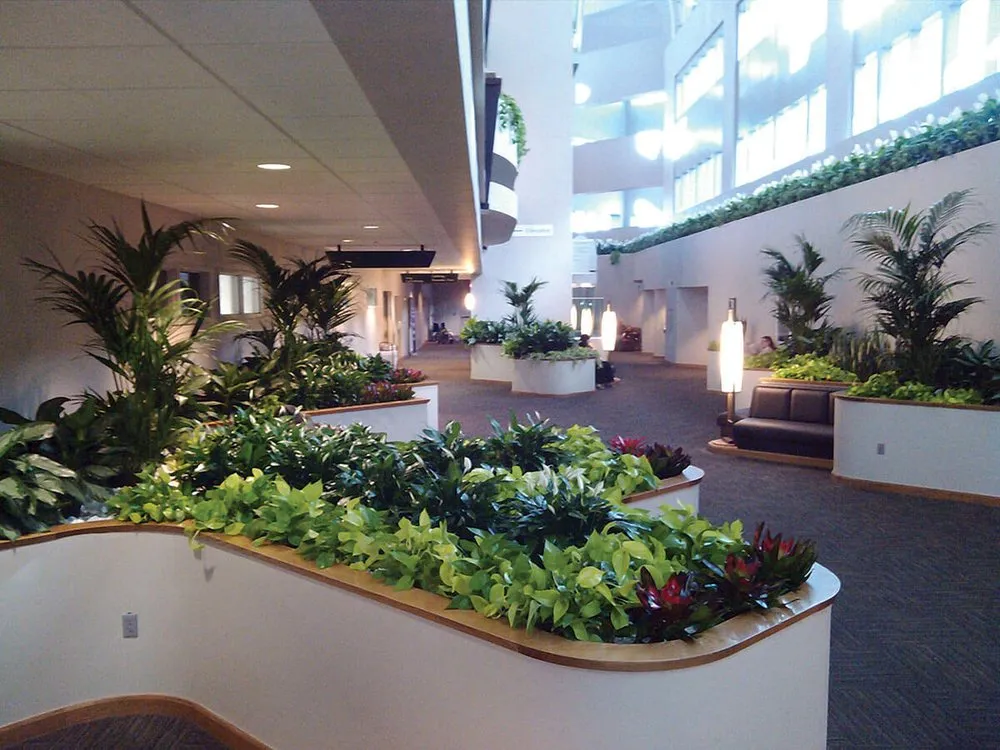 Local lawn care service experts serving Houston, TX - Texas Tropical Plants