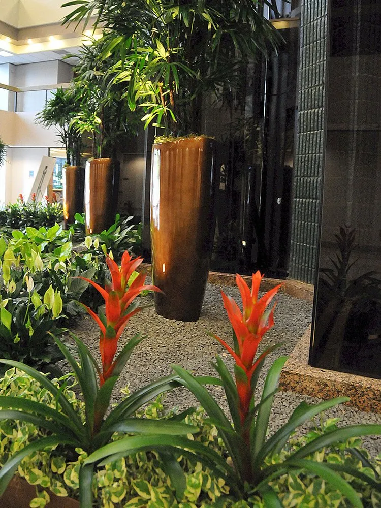 Professional lawn mowing service experts serving Houston, TX - Texas Tropical Plants