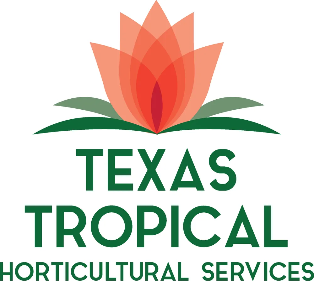 Top-rated garden landscaping experts serving Houston, TX - Texas Tropical Plants