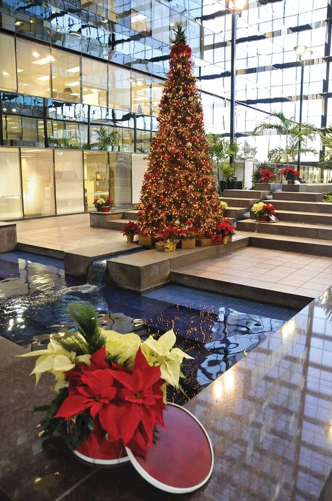 Custom yard maintenance for residential properties in Houston, TX by Texas Tropical Plants