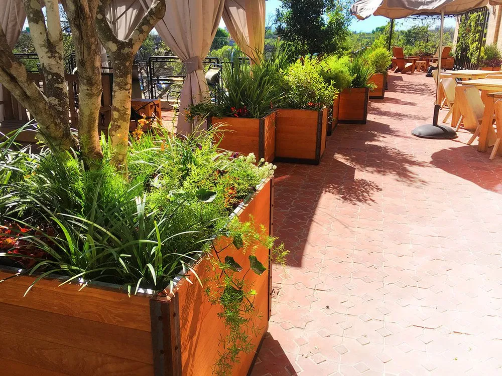 Affordable landscaping services for homes in Houston, TX by Texas Tropical Plants