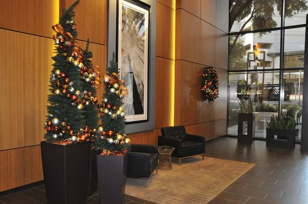 Texas Tropical Plants Logo