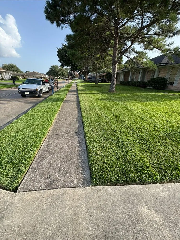 Reliable landscaping services in Port Neches, TX by Texas Turf & Shine