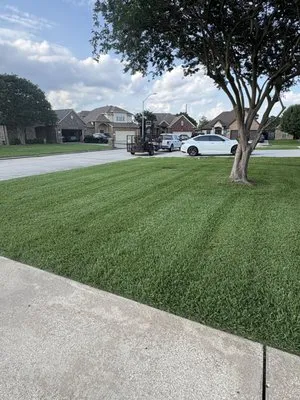 Texas Turf & Shine