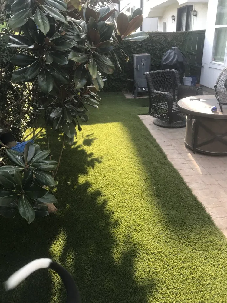 Top-rated lawn care service for beautiful yards across Houston, TX - Texas Turf Company