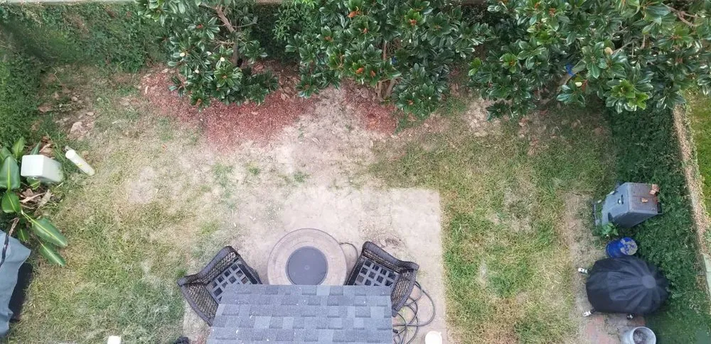 Professional landscape design in Houston, TX by Texas Turf Company