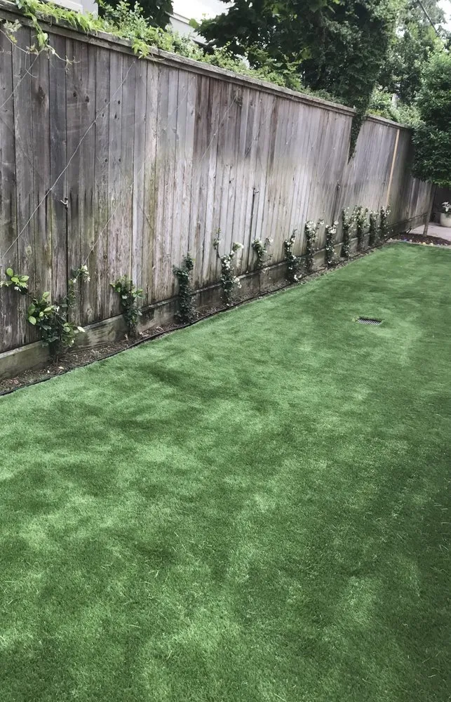 Expert lawn mowing service in Houston, TX by Texas Turf Company