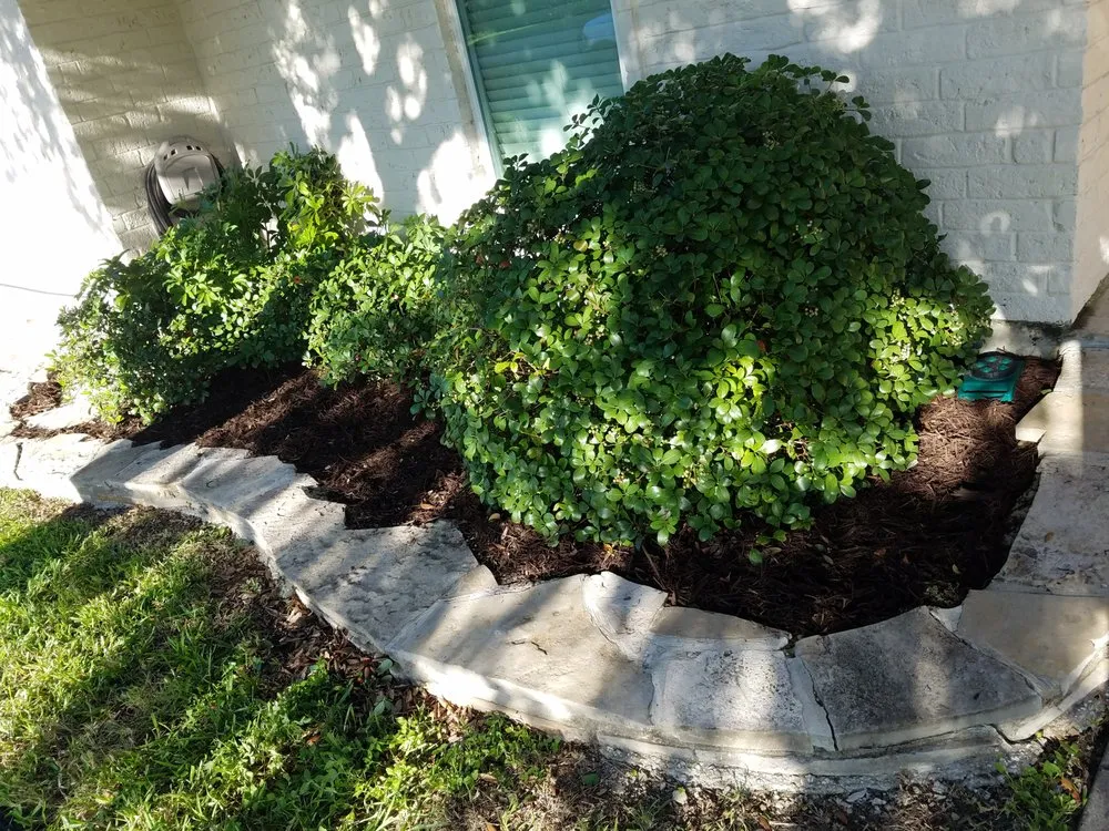 Expert yard maintenance for beautiful yards in Fulton, TX by Texas Turf